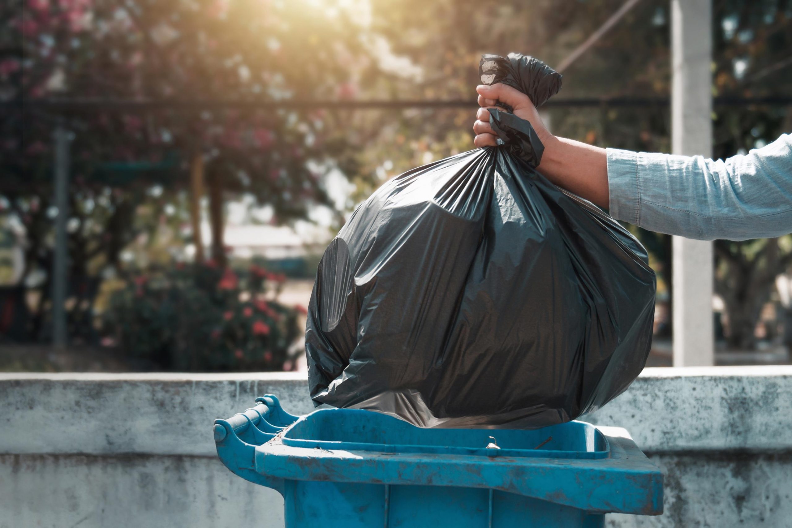 Bins Were Emptied at Pamela Stafford blog