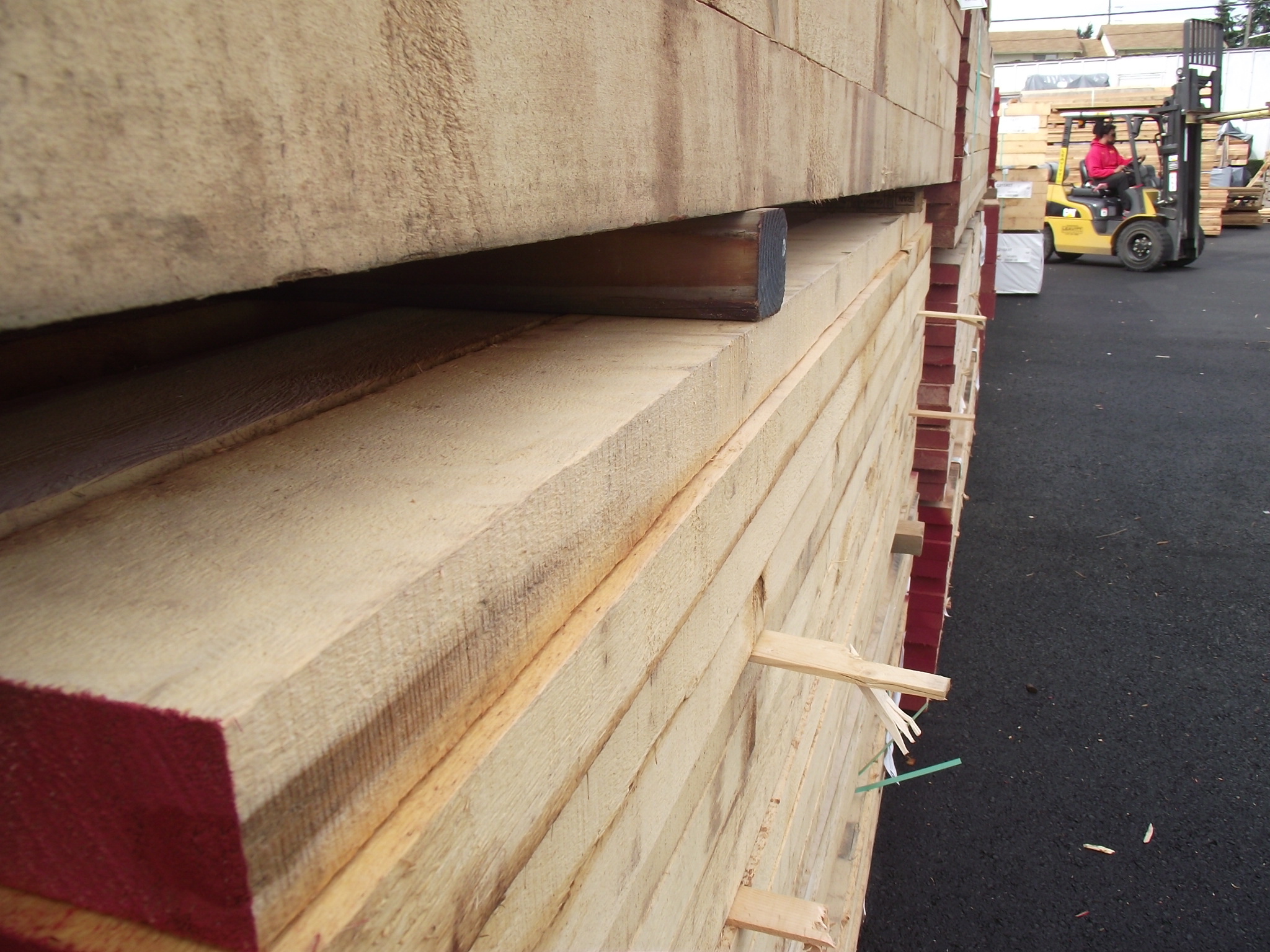 Alaskan Yellow Cedar « Mill Outlet Lumber