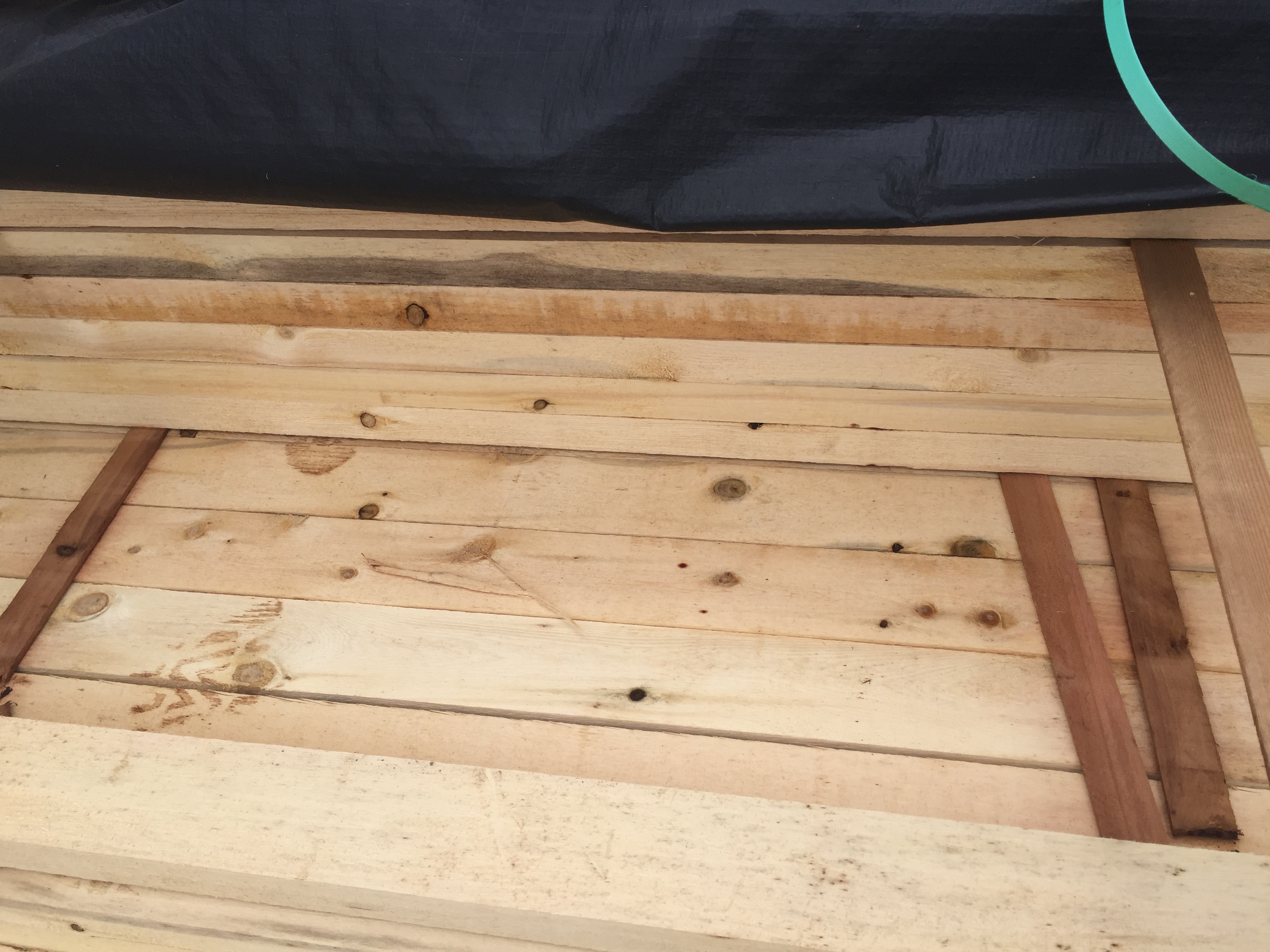 2X4 Alaskan Yellow Cedar Rough, Appearance Grade « Mill Outlet Lumber