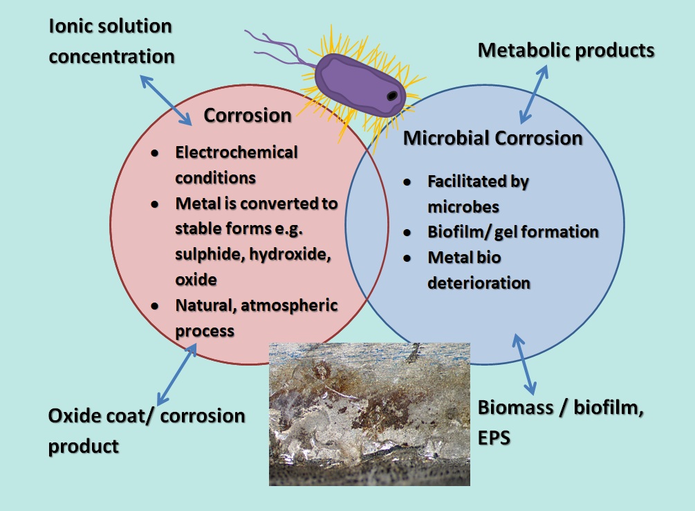 Microbial Induced Corrosion MIC