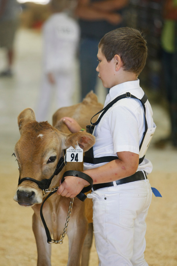 Dairy Show Long Prairie Leader