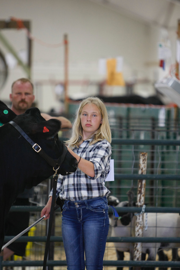 Beef Show Long Prairie Leader