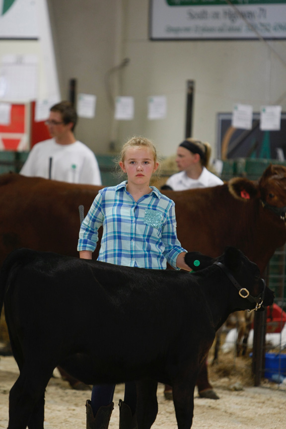 Beef Show Long Prairie Leader