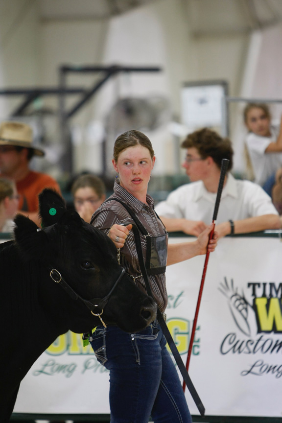 Beef Show Long Prairie Leader
