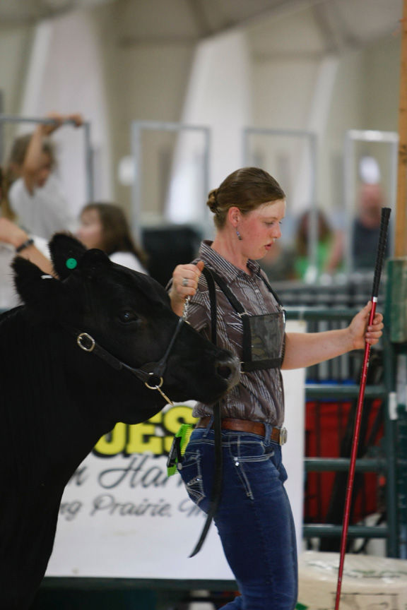 Beef Show Long Prairie Leader