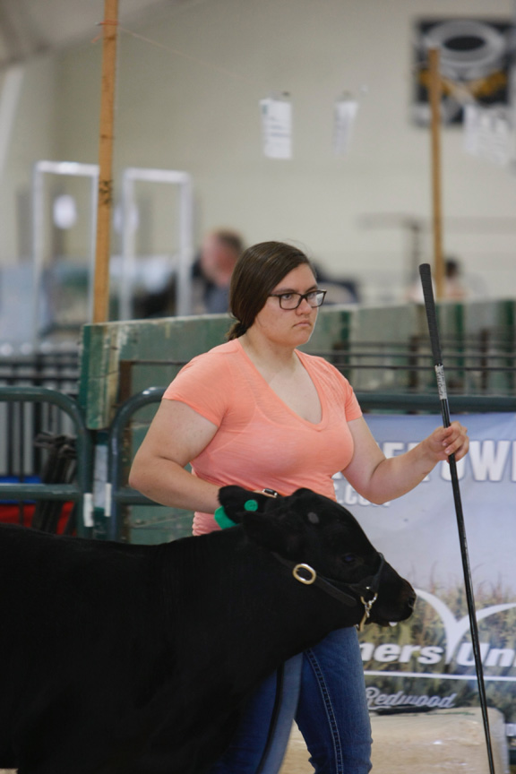 Beef Show Long Prairie Leader