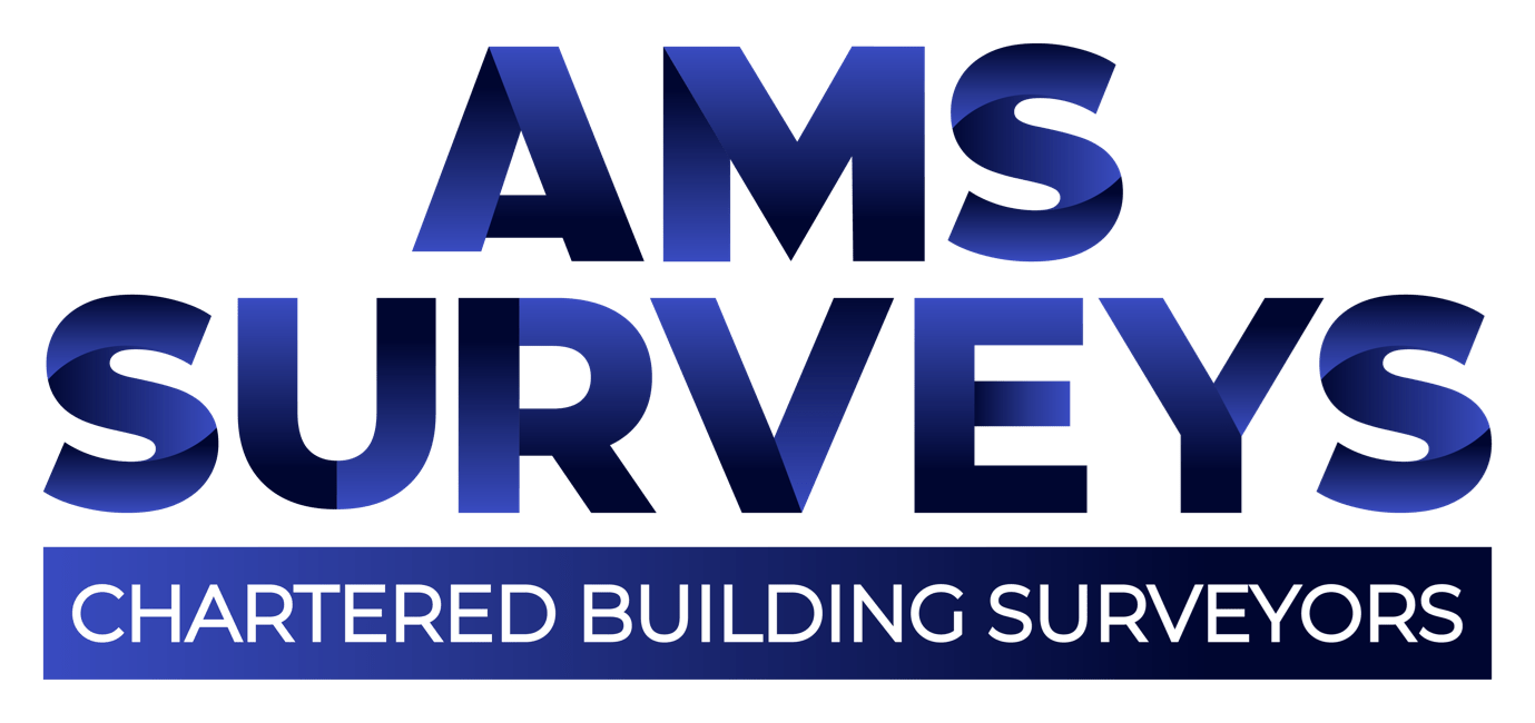 AMS Surveys Listed Property