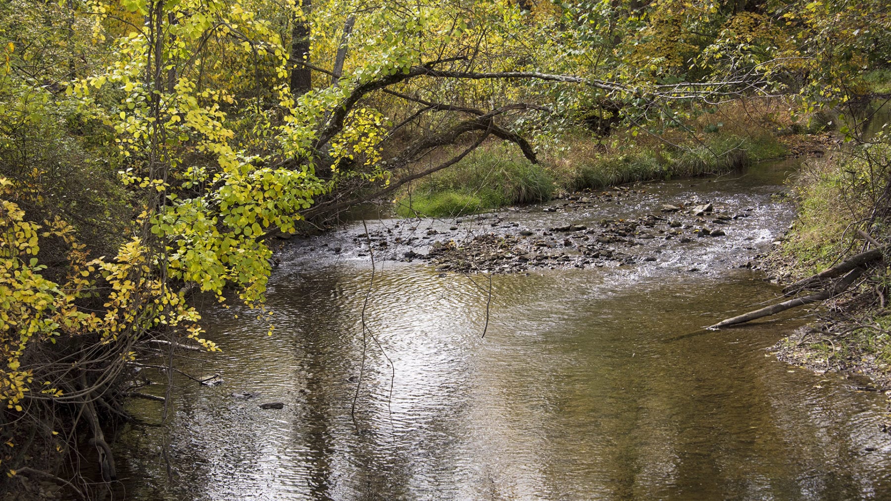 Bedford Heritage Trail General Contractor Projects Leonard S. Fiore, Inc.