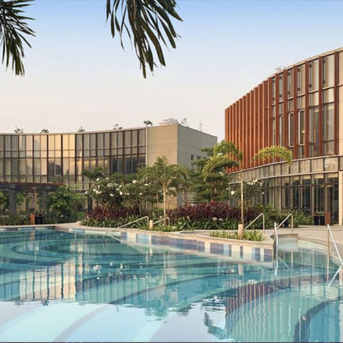 Island City Center LSG Inc