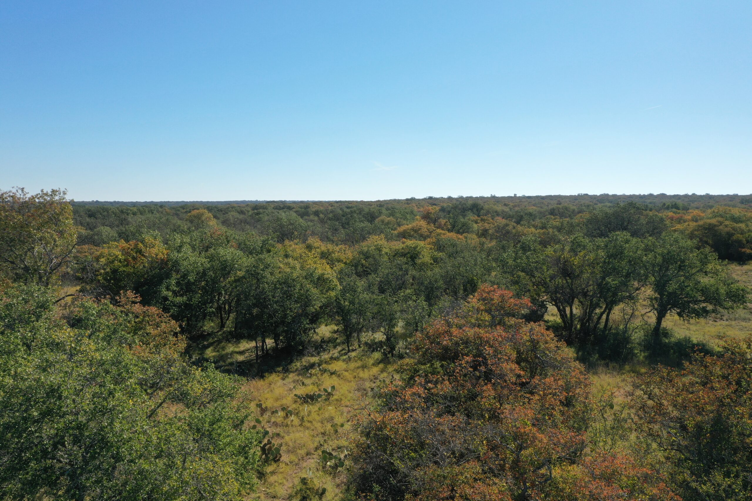 Guide to purchasing recreational hunting tracts at The Ranches at Buck