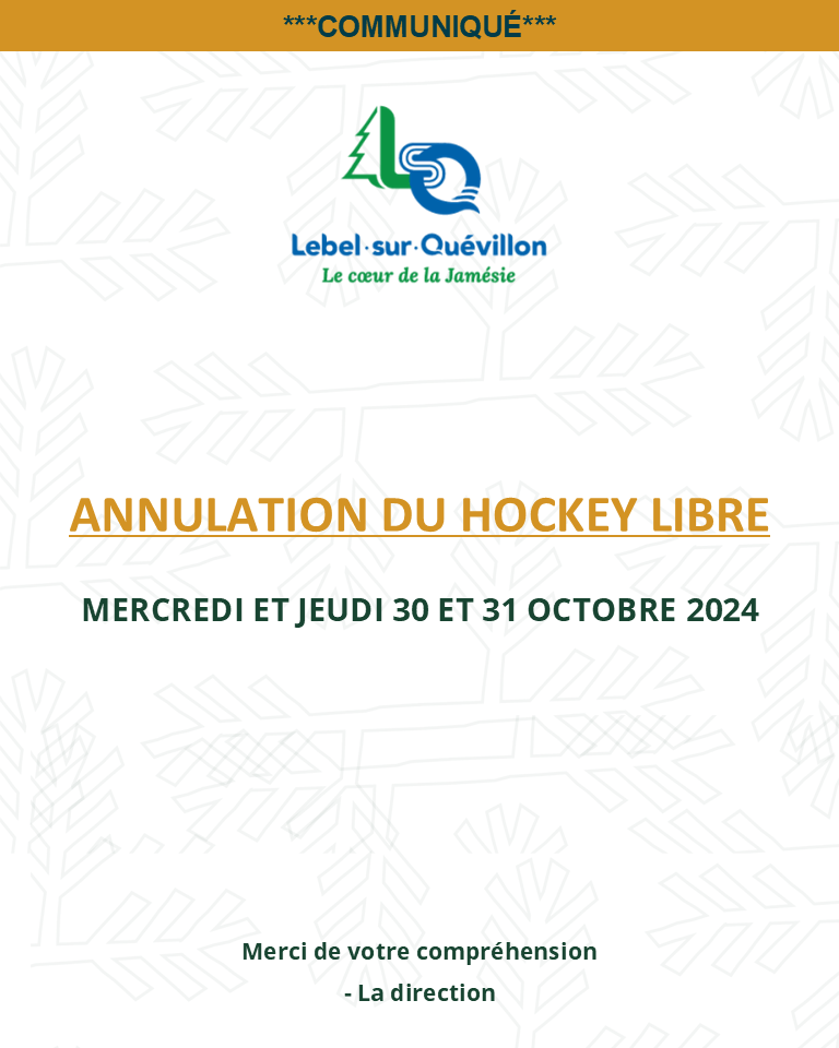 Annulation hockey libre du 30 et 31 octobre 2024