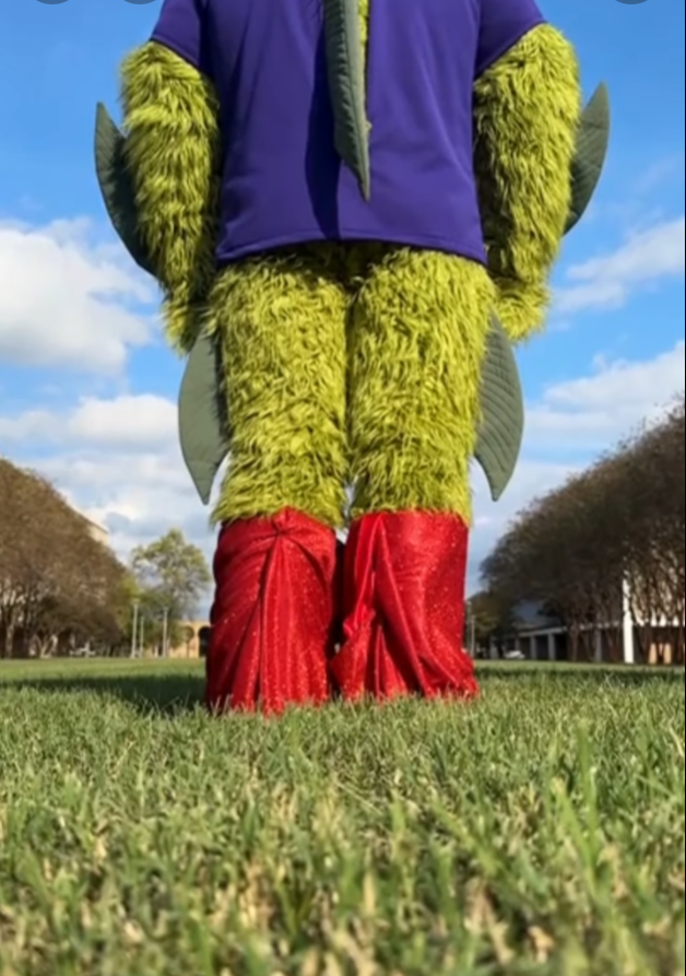 Homecoming 2025 Shoes 2025