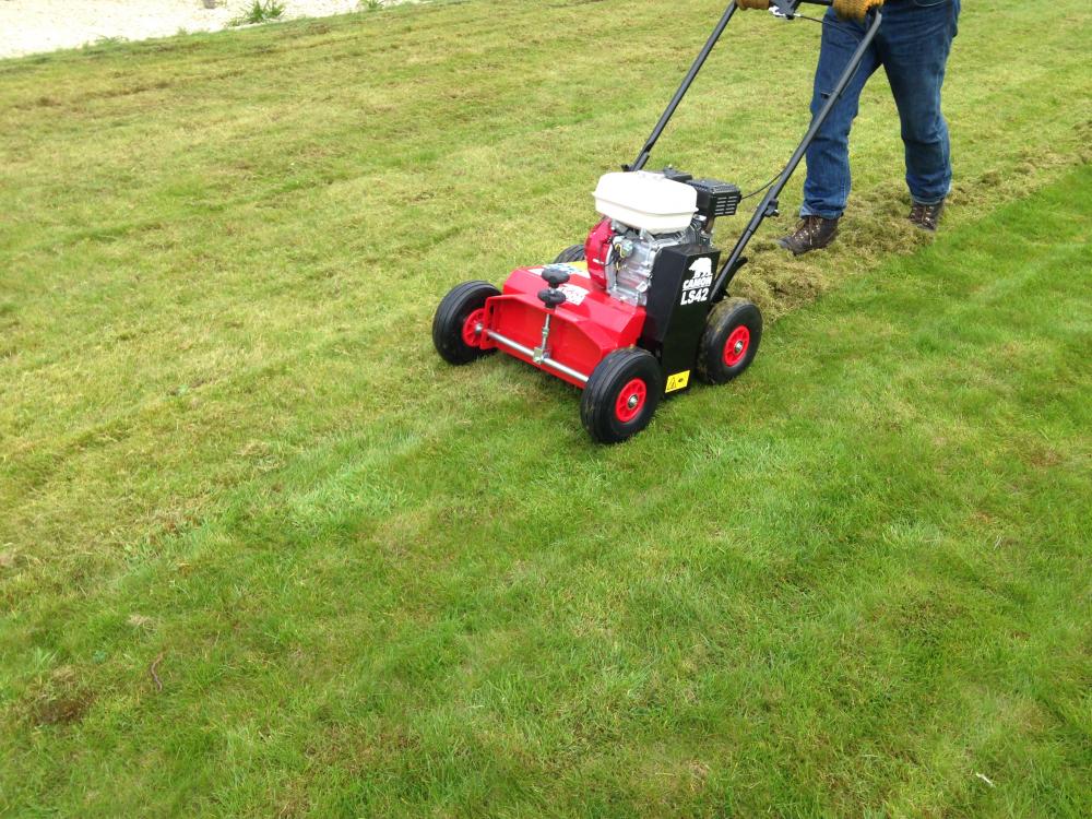 Scarifying a moss infested lawn before overseeding and applying