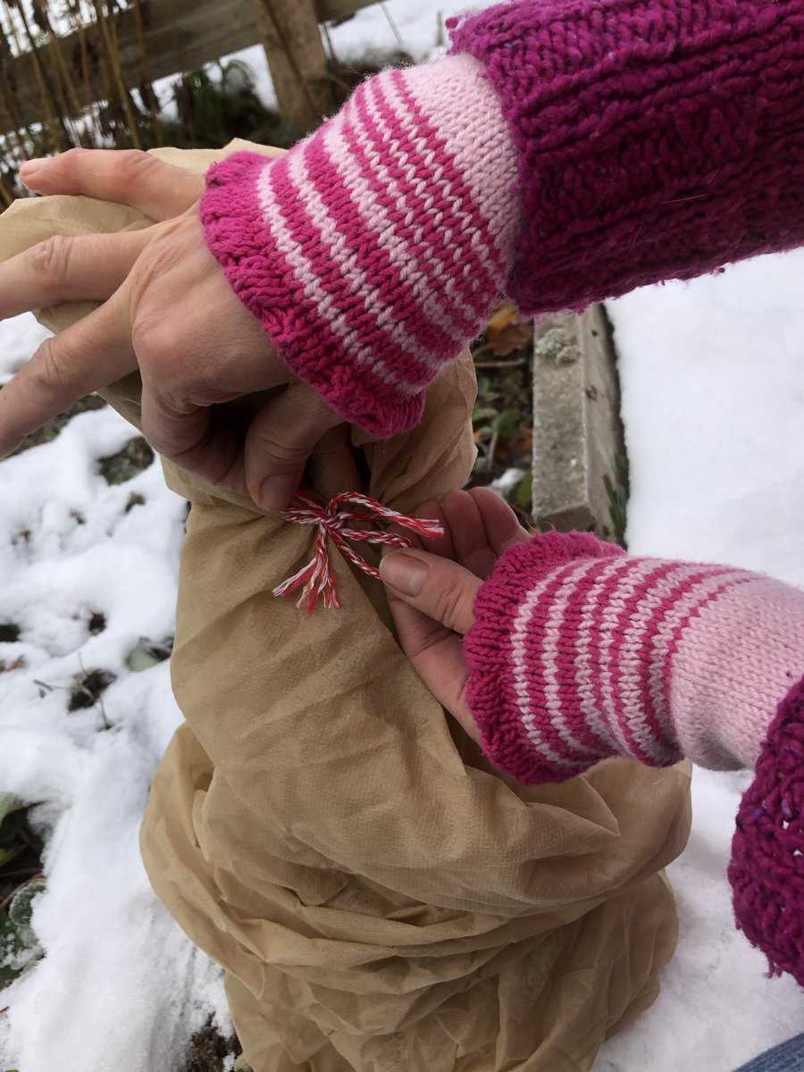 Pampasgras Überwintern - Die Besten Tipps Von Lubera®