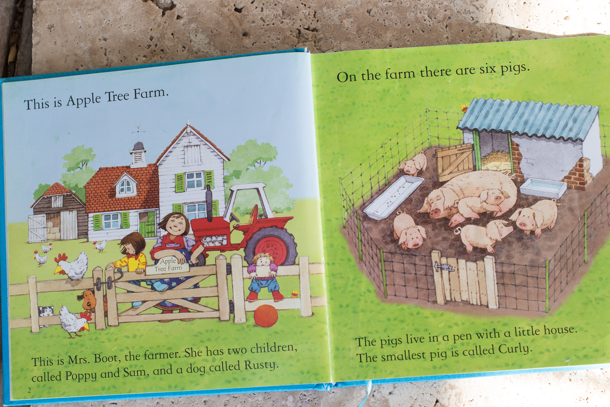 The Best Books for Beginner Readers Lucie's List Roundup