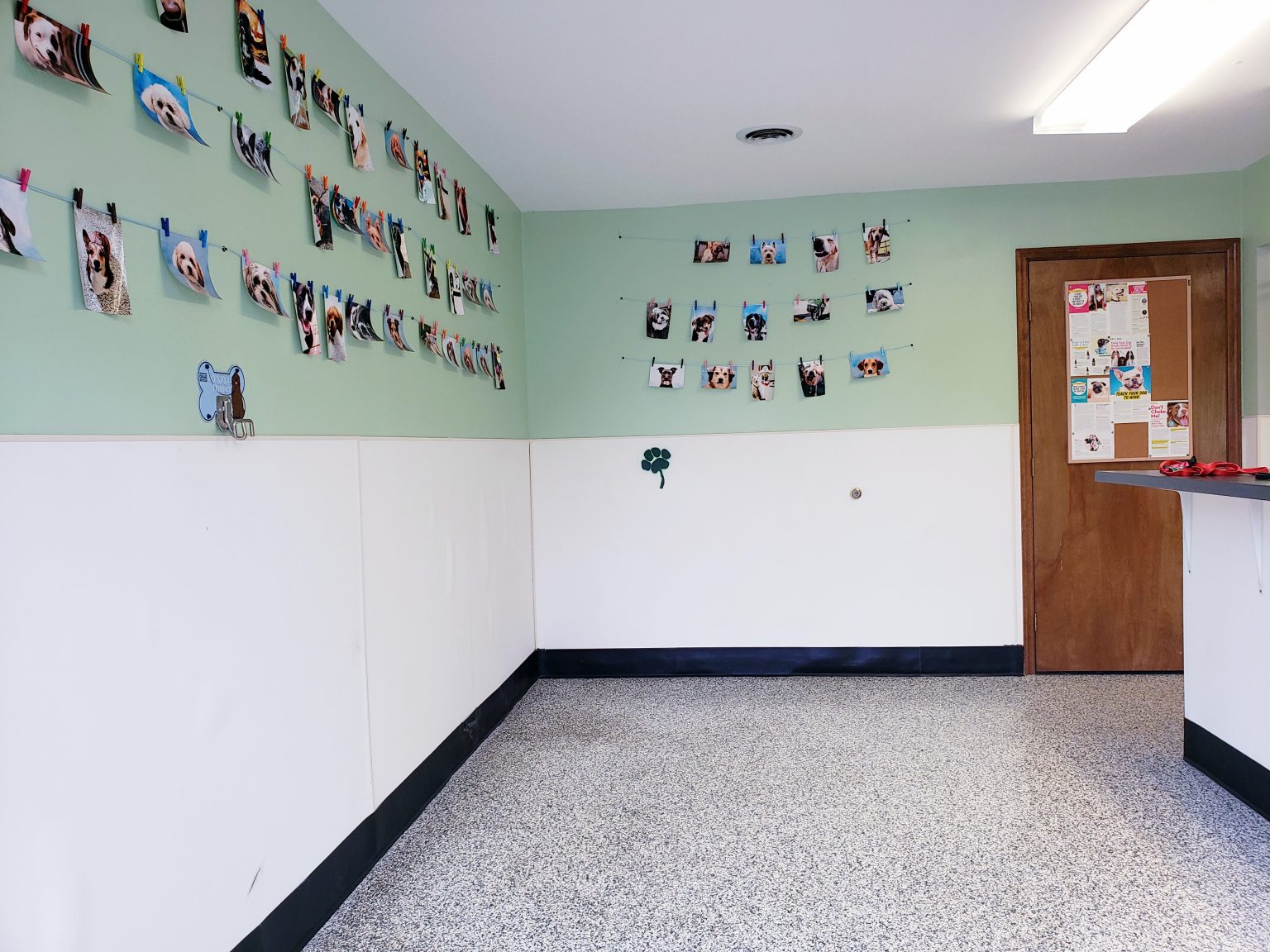 Lucky Dog Daycare Lucky Dog Daycare