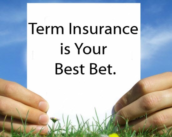 New York Life Insurance Company Reviews Aig Direct Term Life Insurance