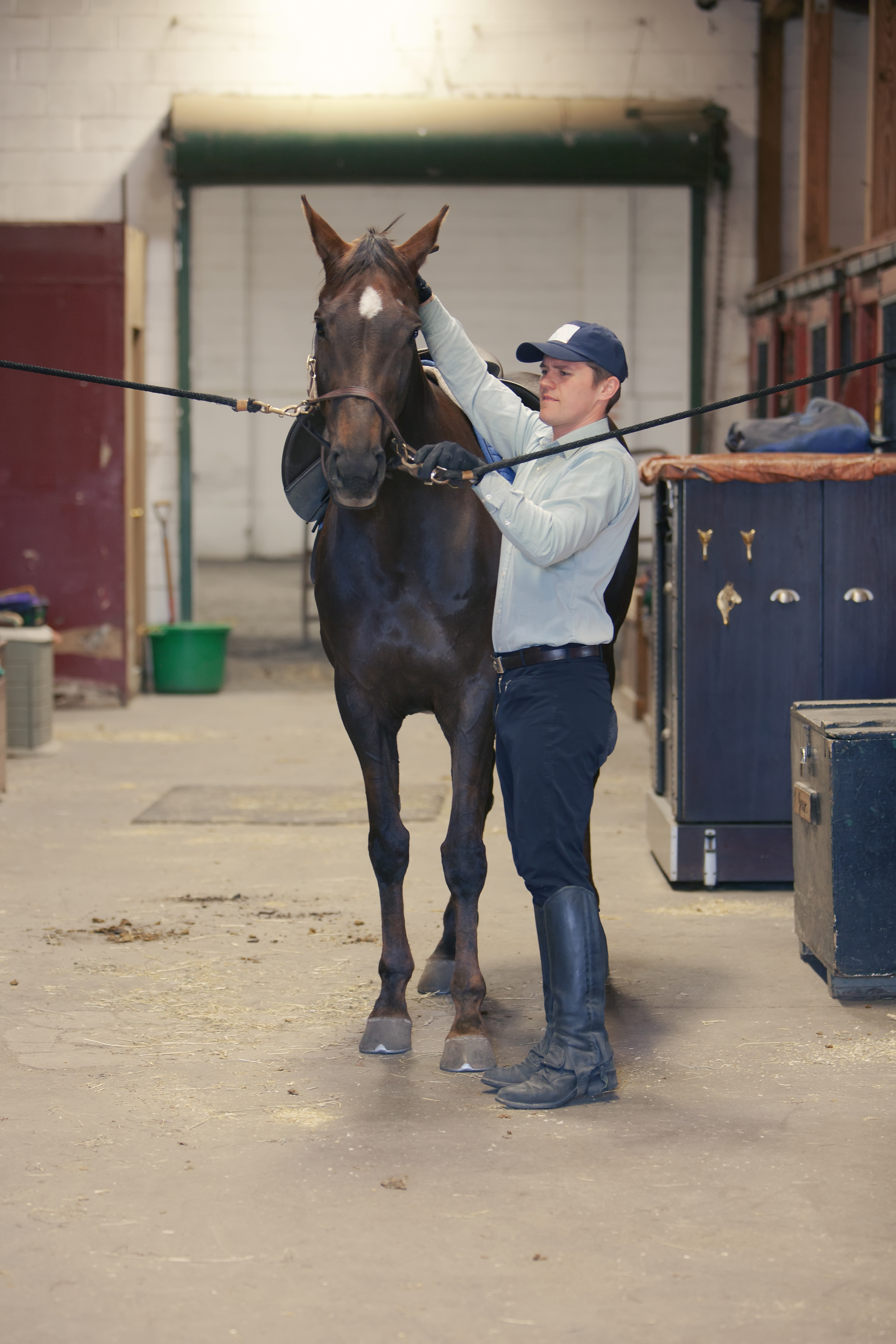 Cross Tie Training for a Horse Lucky Pony Blog