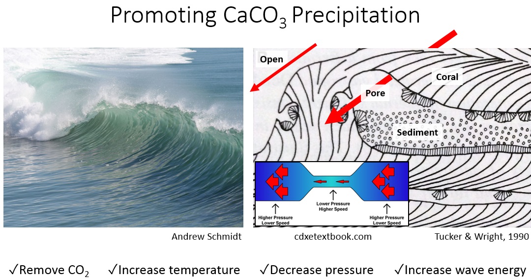 Chemistry lesson calcium carbonate solubility Lucky Sci