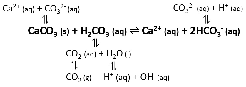Is Calcium Carbonate Soluble In Water Water Ionizer