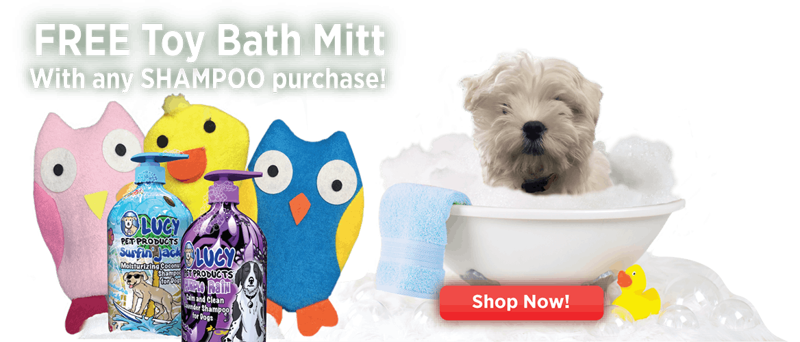 Lucy Pet Products Home of the Gut Healthy Pet Food and Products