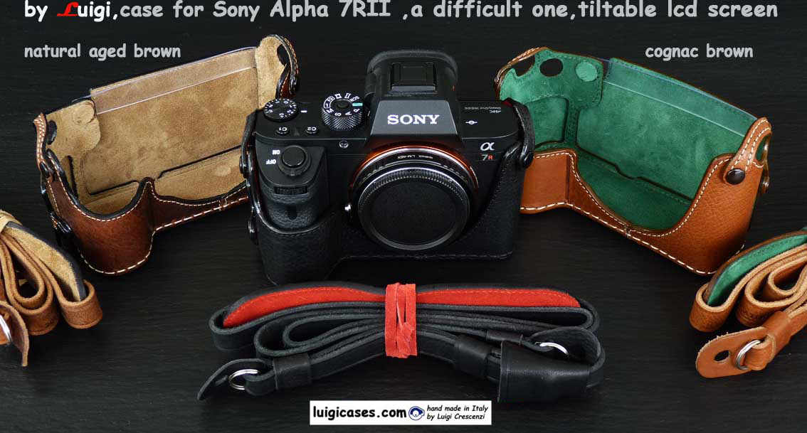 Cases for Digital SONY cameras
