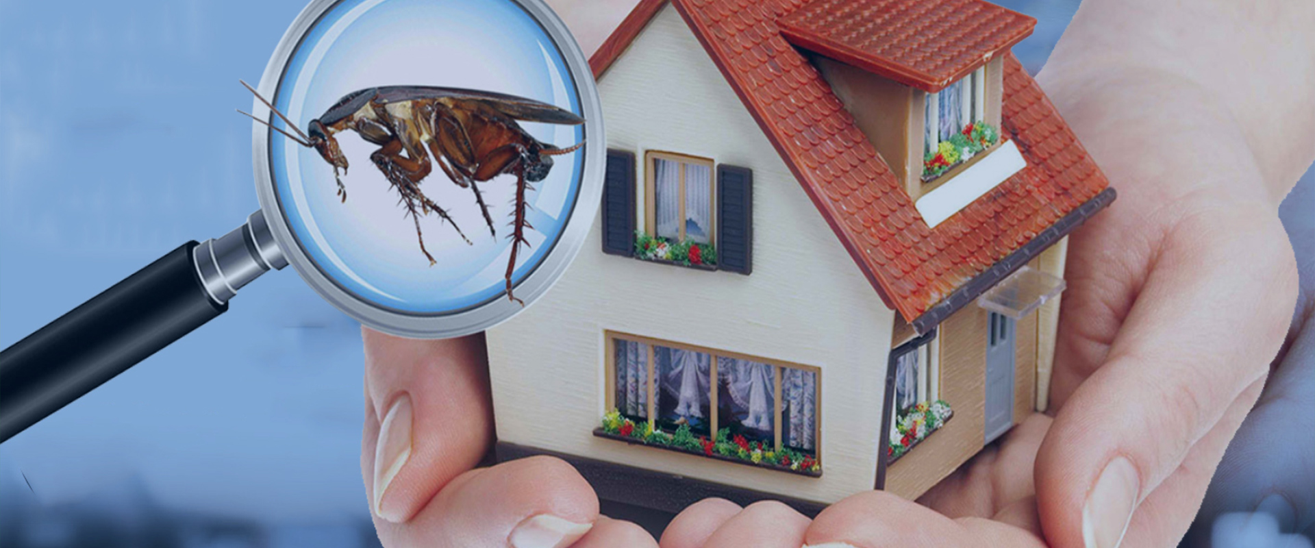 Lulu Pest Control & Cleaning Cleaning Services in Abu Dhabi