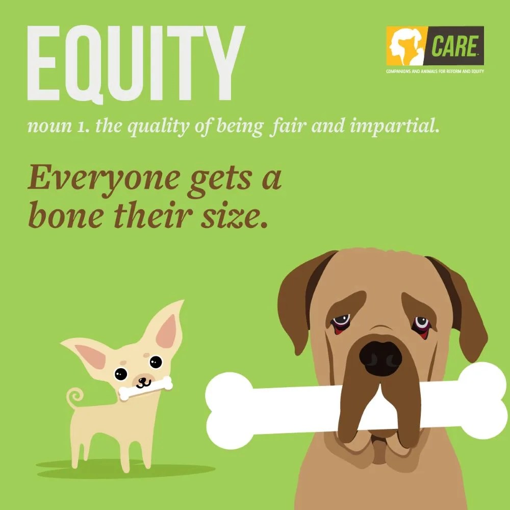 Diversity And Inclusion In Pet Adoption How One Organization Is Making