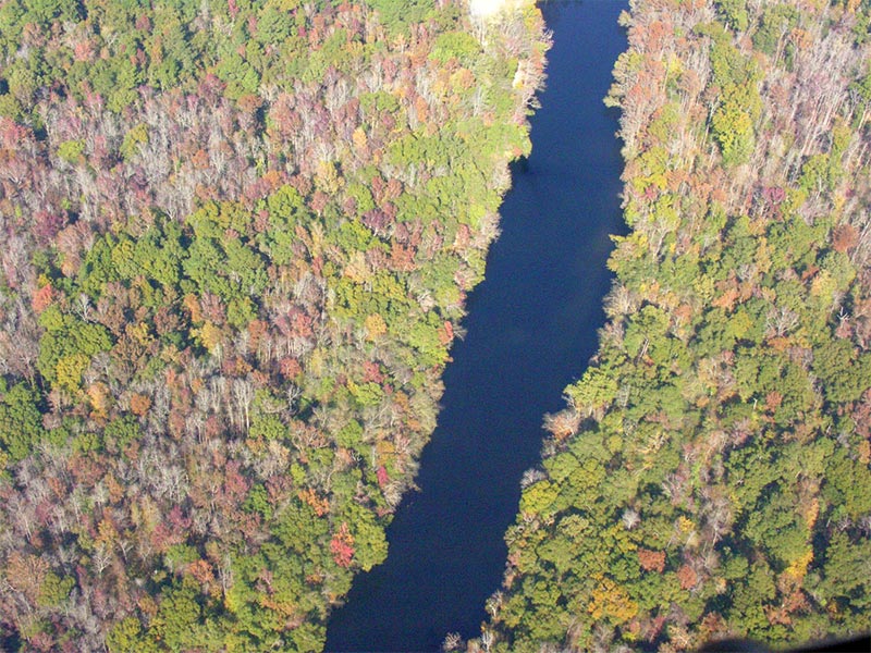 The Lumber River The Lumber River Conservancy