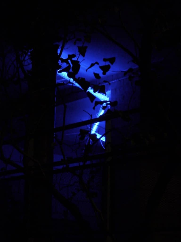 22-foot-long pendant LED light sculpture, changing colours.  LED lights run through three acrylic tubes joined with heavy gauge wire, wrapped with strips of steel mesh and polycarbonate.  stunning; completely original.