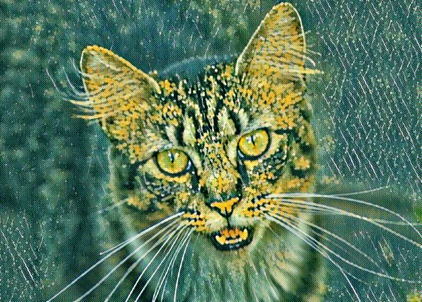 LunaPic Free Online Photo Editor