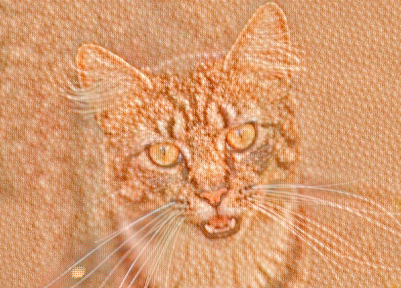 LunaPic Free Online Photo Editor