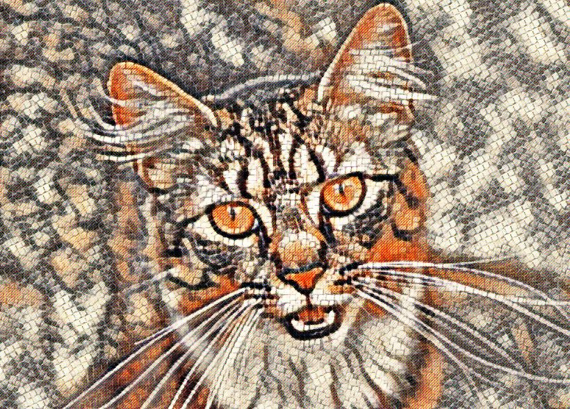 LunaPic Free Online Photo Editor