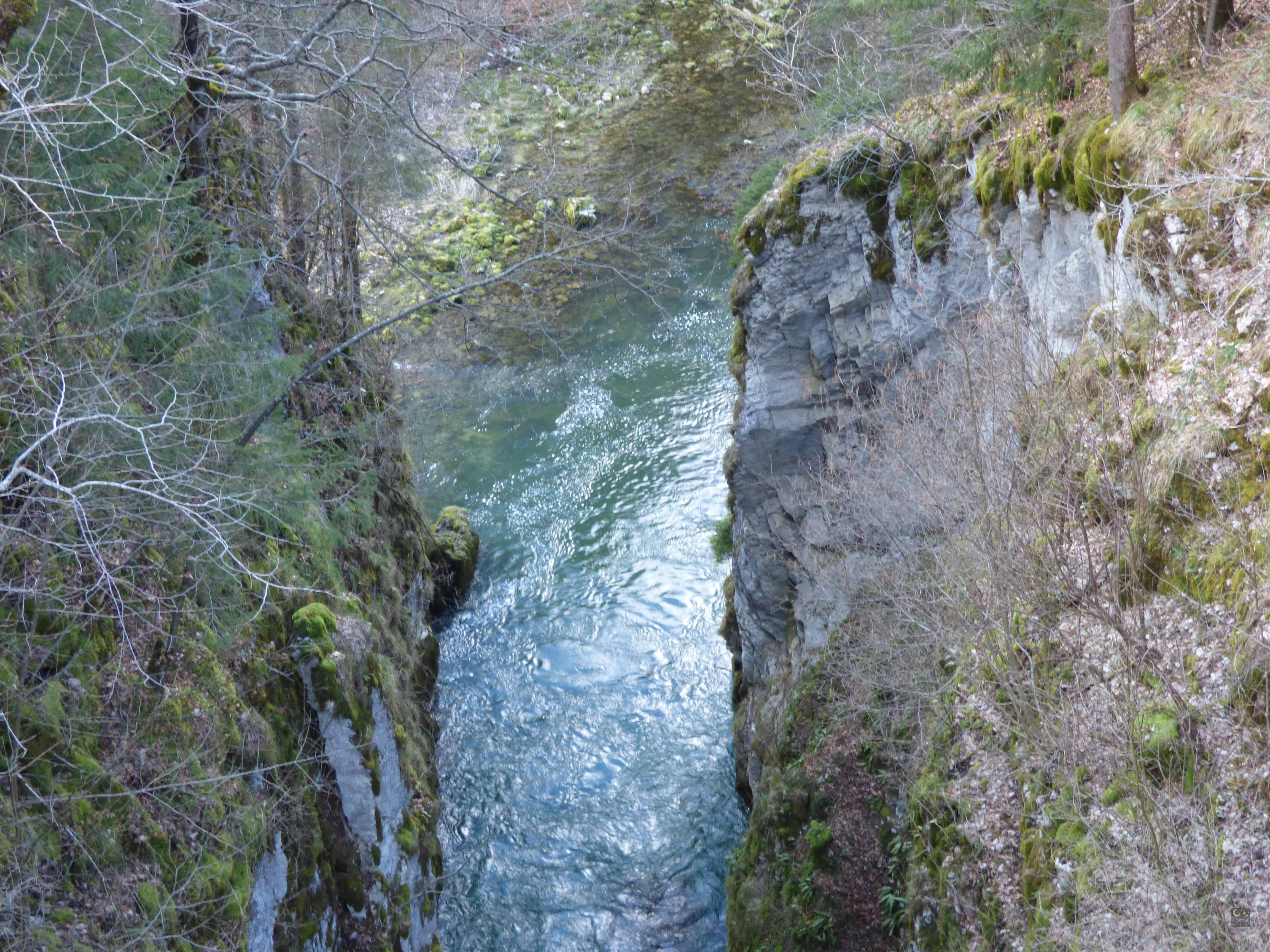 Les de la Langouette Les PlanchesenMontagne (39)