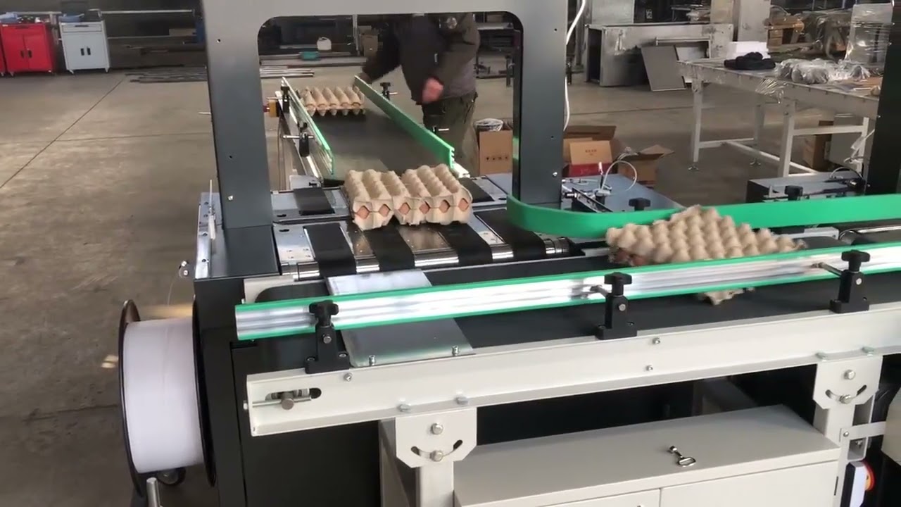 Efficient and Reliable Egg Tray Strapping Solution BeltDriven PP Strapping Machine Line