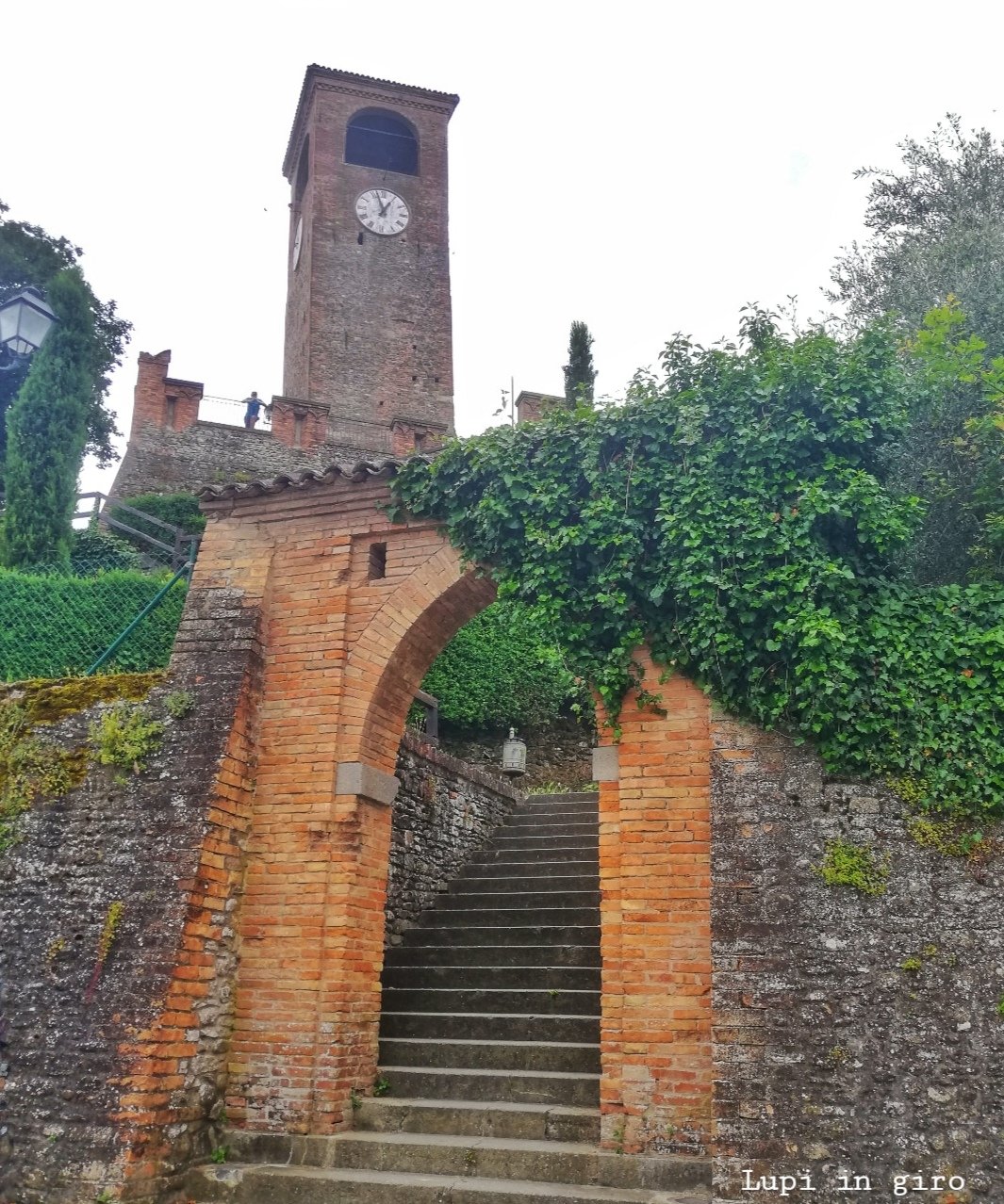 Cosa vedere a Castelvetro di Modena