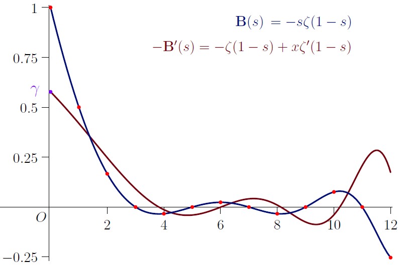 Introduction to the Bernoulli Function