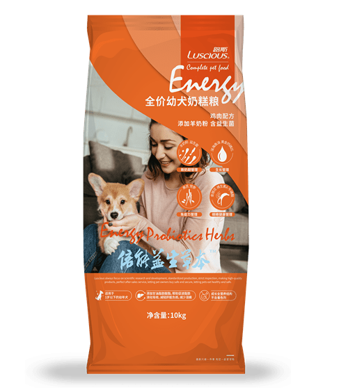 How much dog food do you feed at a time? Introduction to the correct