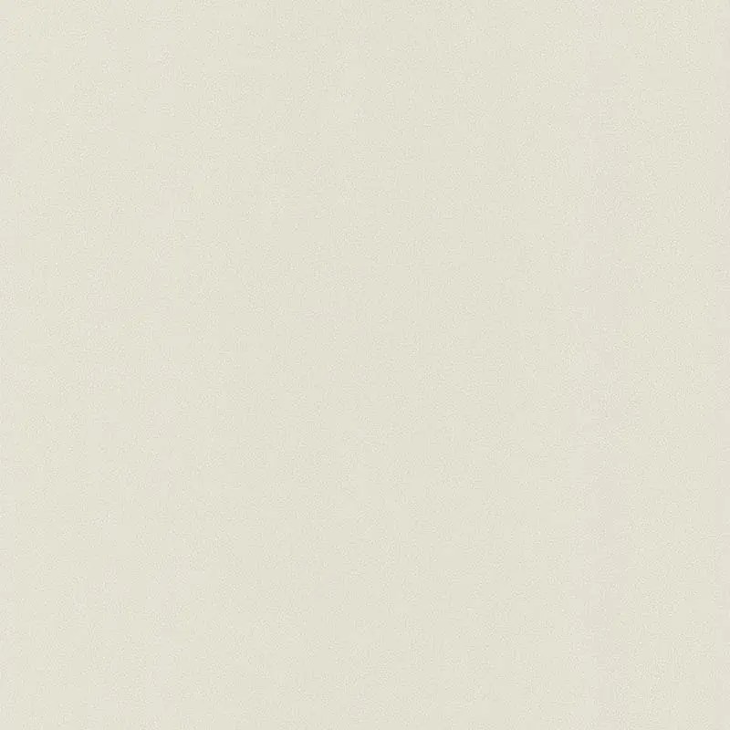 Papier peint UNI CREPI BEIGE 51176107 de la collection