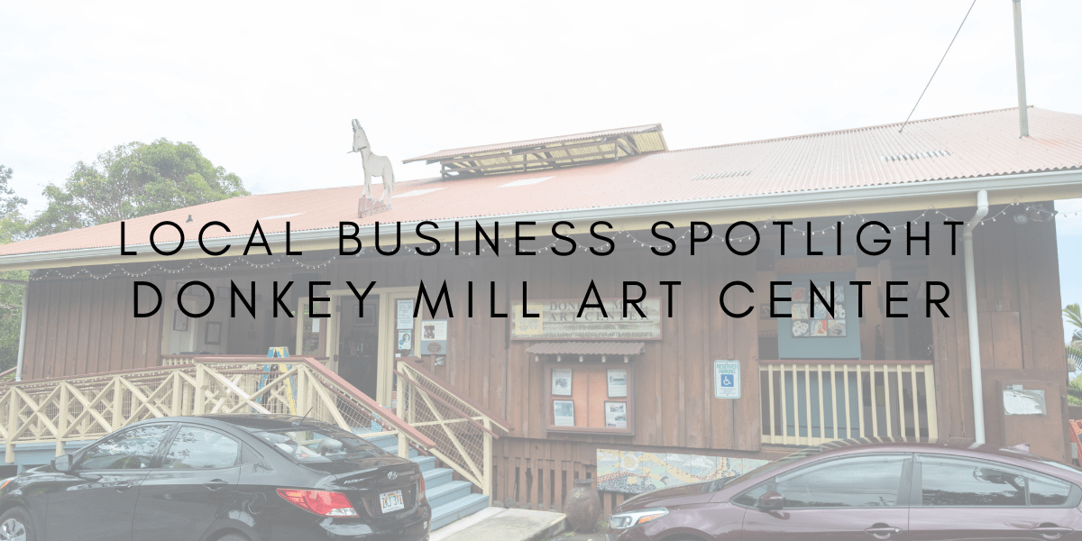 Local Business Spotlight Donkey Mill Art Center Luva Real Estate