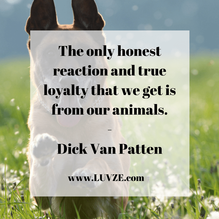 120+ Loyalty Quotes and Sayings