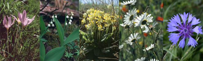 Haus vun der Natur News