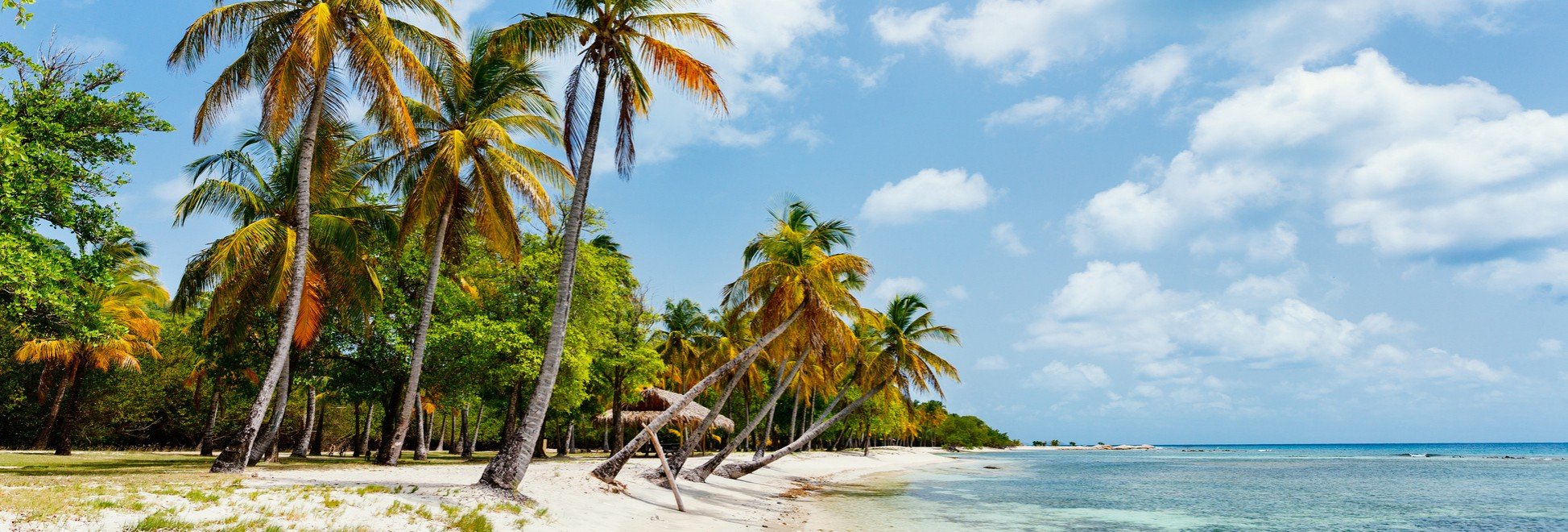 Luxury Yacht Charters The Grenadines Luxury Charter Group