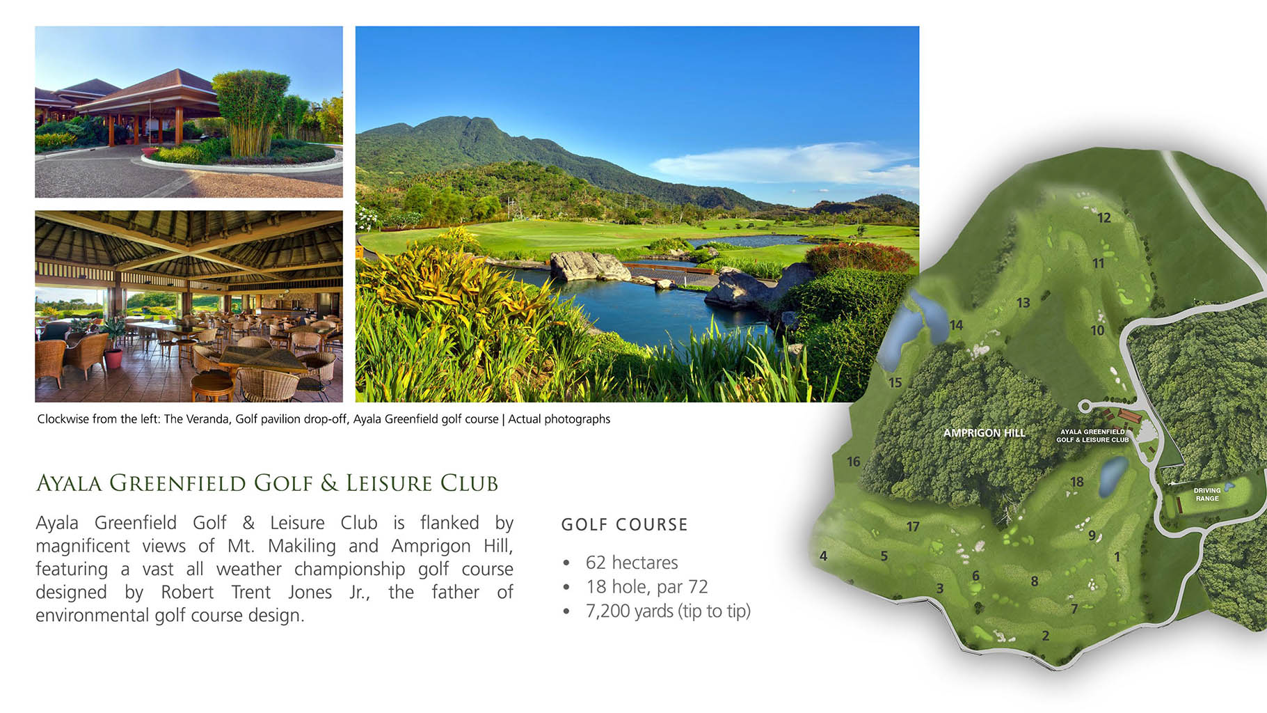 Ayala Greenfield Estates Luxury Homes Philippines