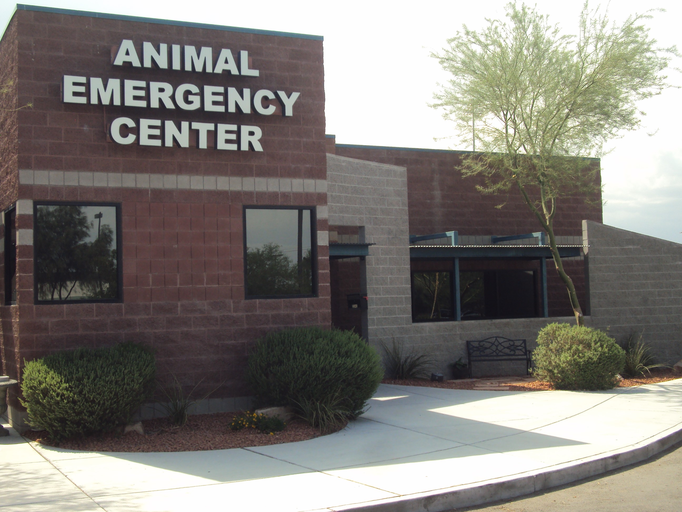 Pet Emergency Center Near Me Veterinarians Emergency Vets Vca Animal