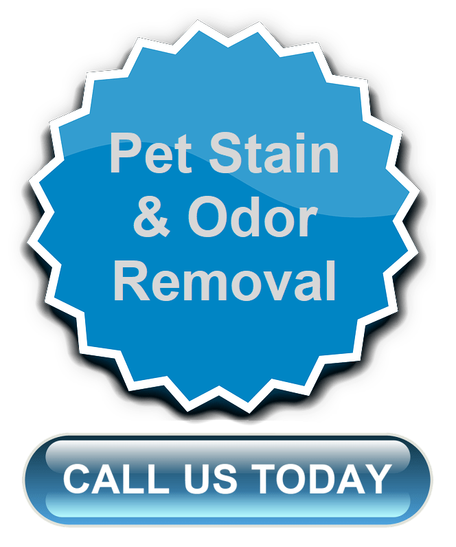 Pet Carpet Stain & Odor Removal LVCC Carpet Cleaning Las Vegas, NV