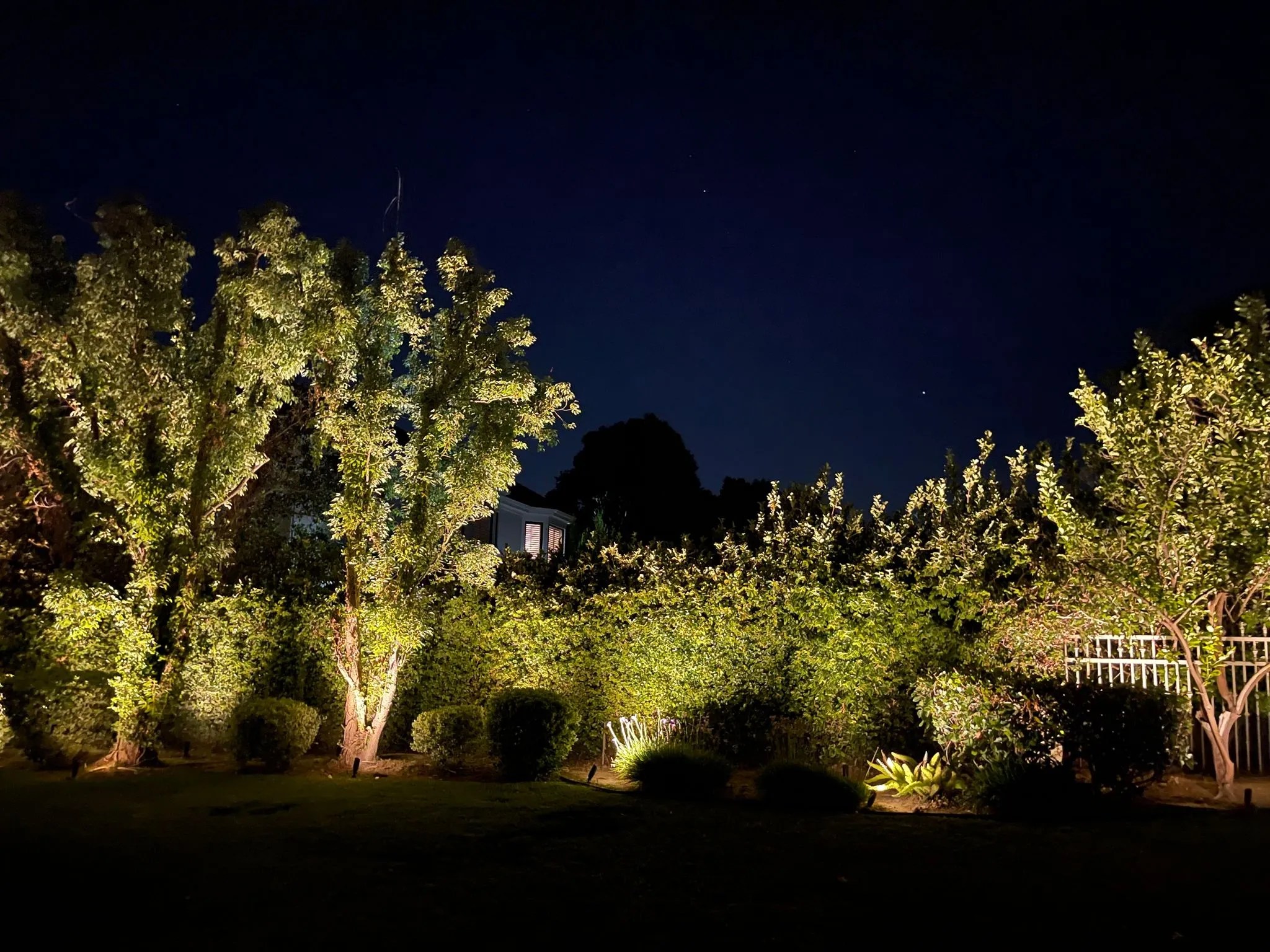 Los Angeles Landscape Lighting Installation• Los Angeles Landscape
