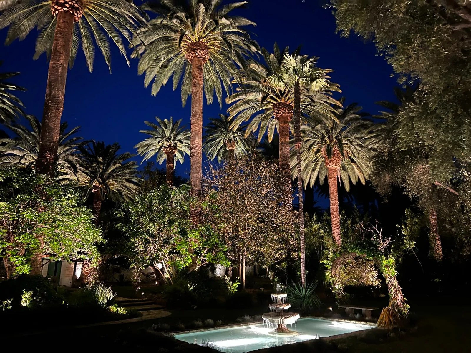 Los Angeles Landscape Lighting Installation• Los Angeles Landscape