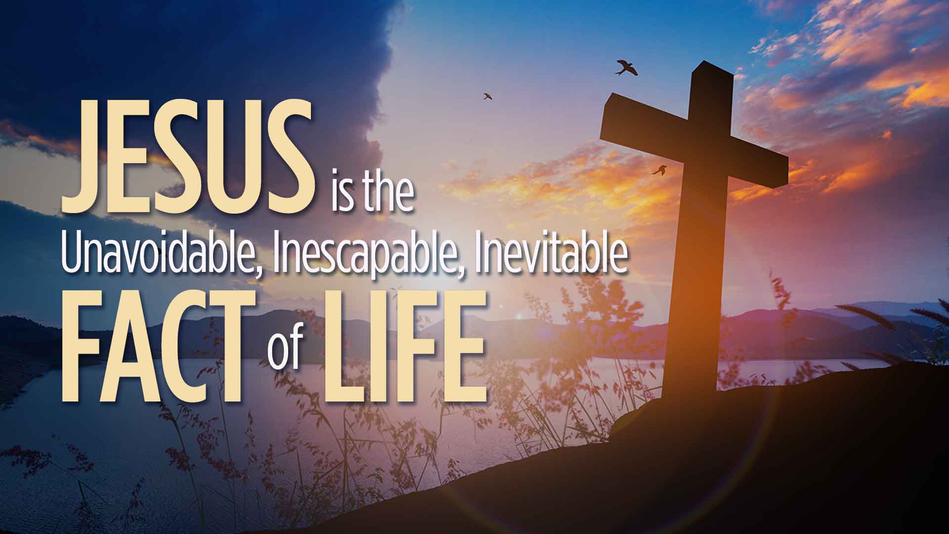 Jesus Is My Life Wallpaper