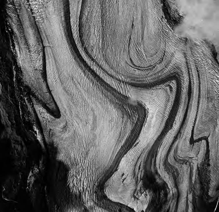 Gakona Glacier Hike Info and August 2023 Trip Report Lee Petersen